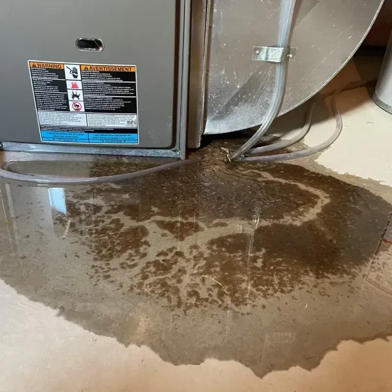 Appliance Leak Cleanup in Jackson, NC